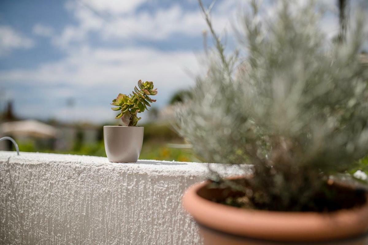 Jasmina Apartament *